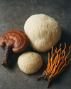 Functional Mushrooms